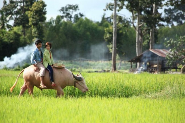  วิถีสุพรรณ